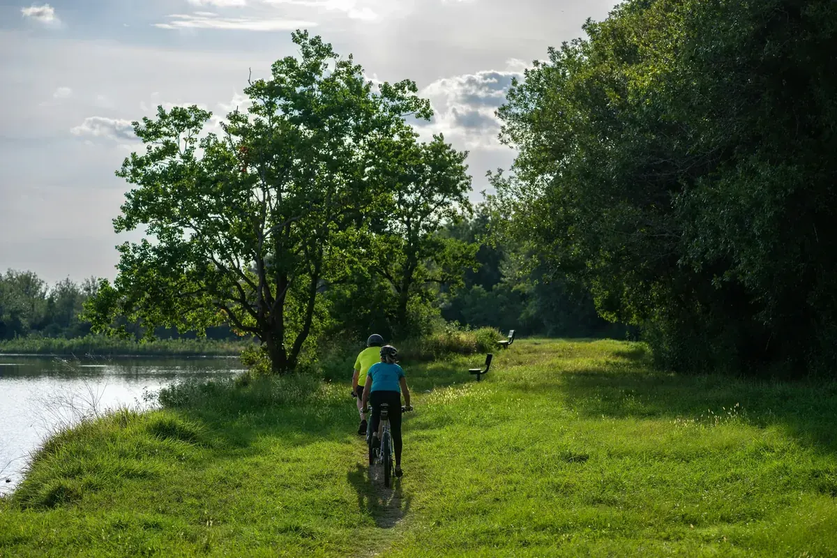 Eichenwälder und Wanderwege auf Djurgården