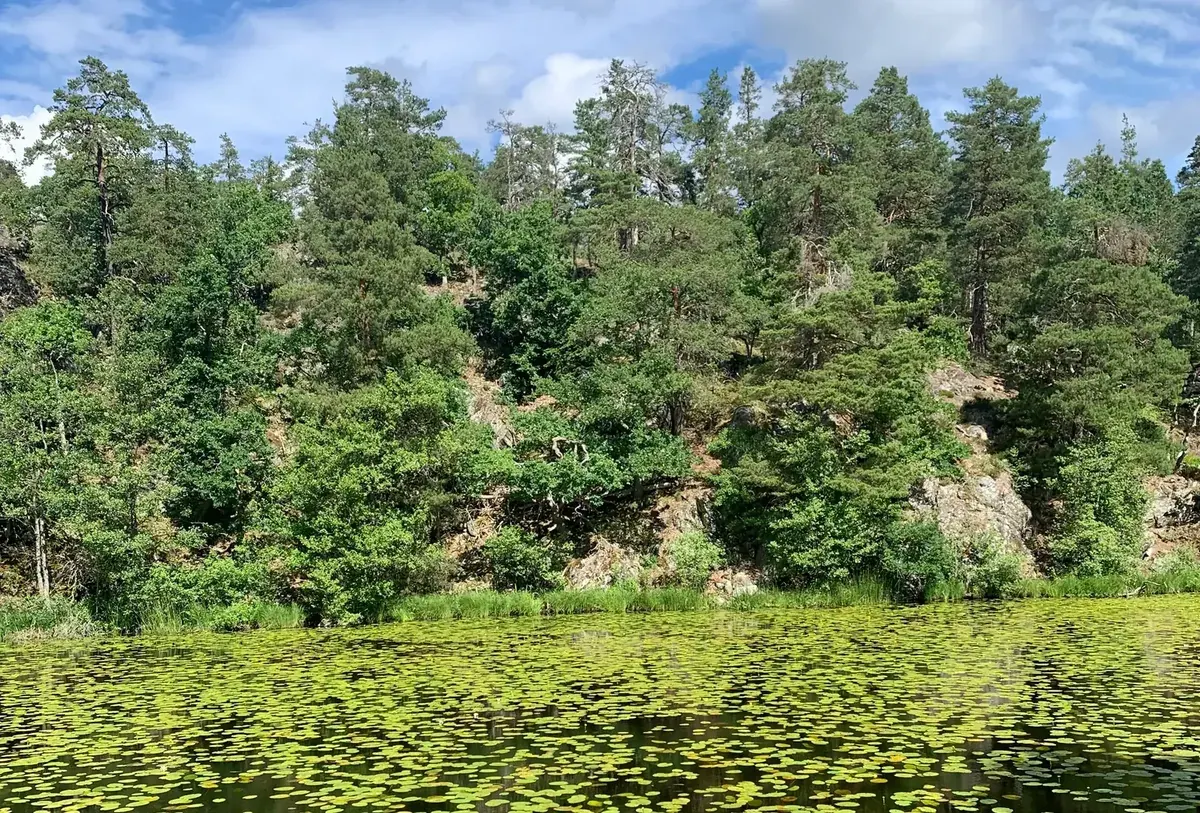 Wandern im Nackareservatet
