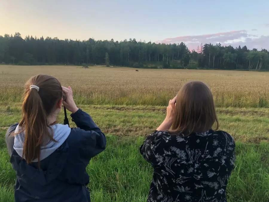 Stockholm Adventures Evening Wildlife Safari