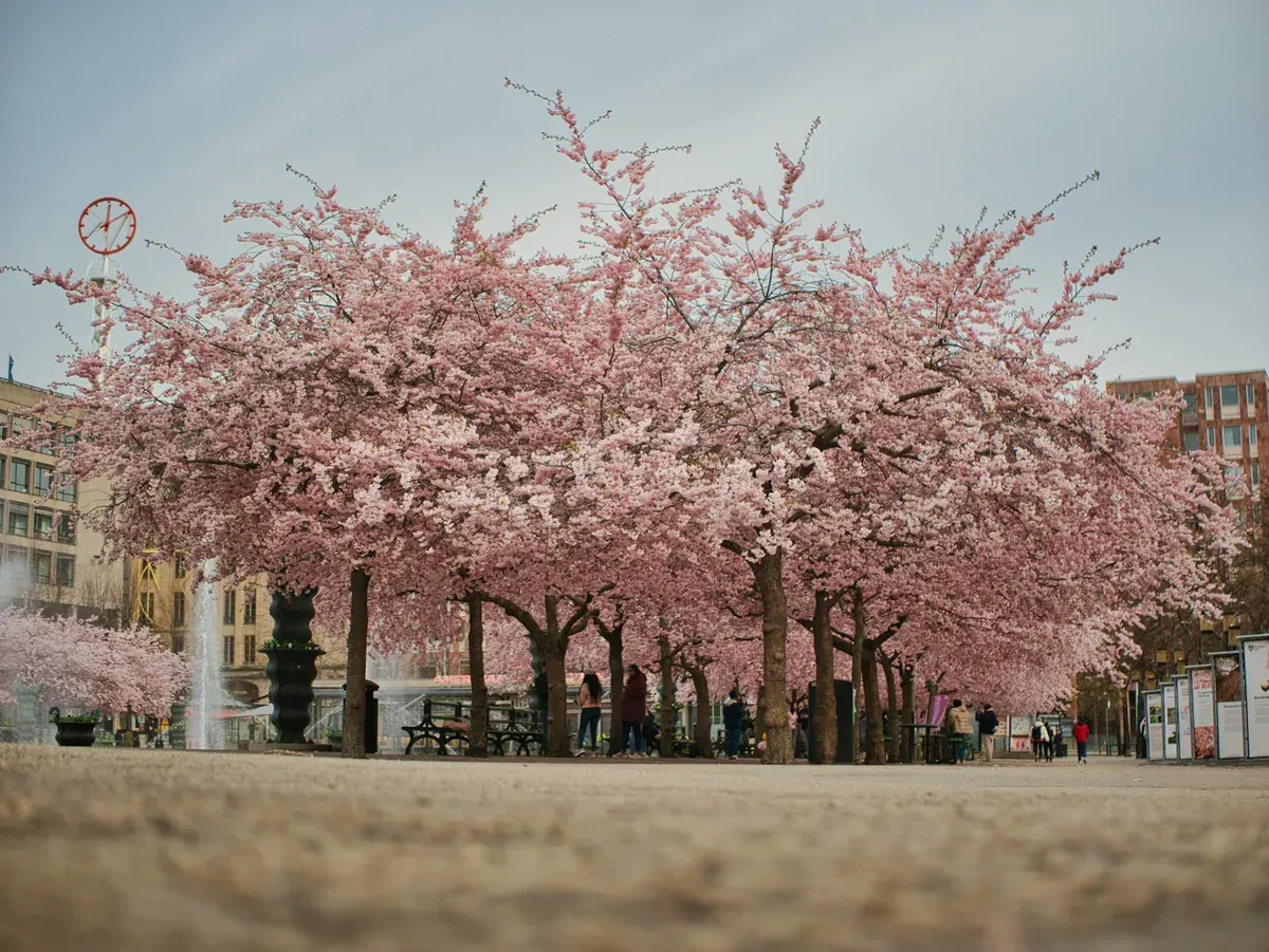 Kungsträdgården Park