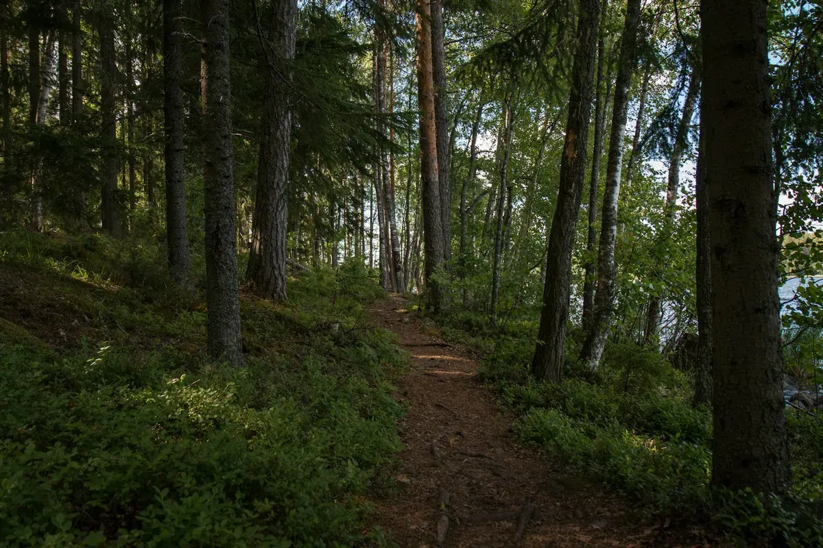 Nature auf Långholmen